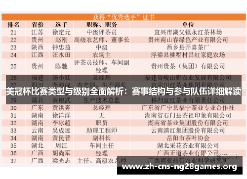 美冠杯比赛类型与级别全面解析：赛事结构与参与队伍详细解读